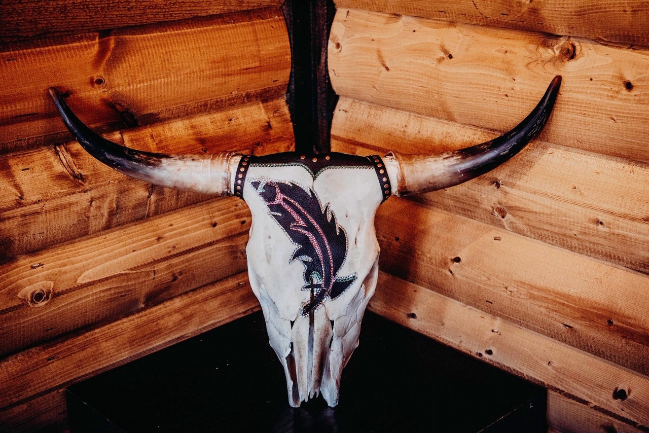 Longhorn Skulls